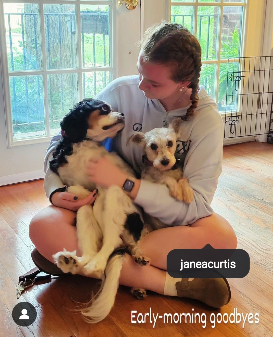 2024-05-18 Jane says goodbye to the dogs.jpg